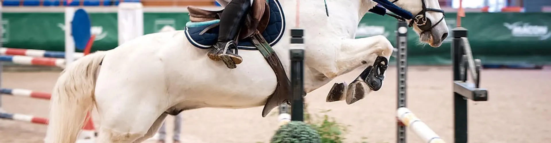 Poney Club Bruyeres