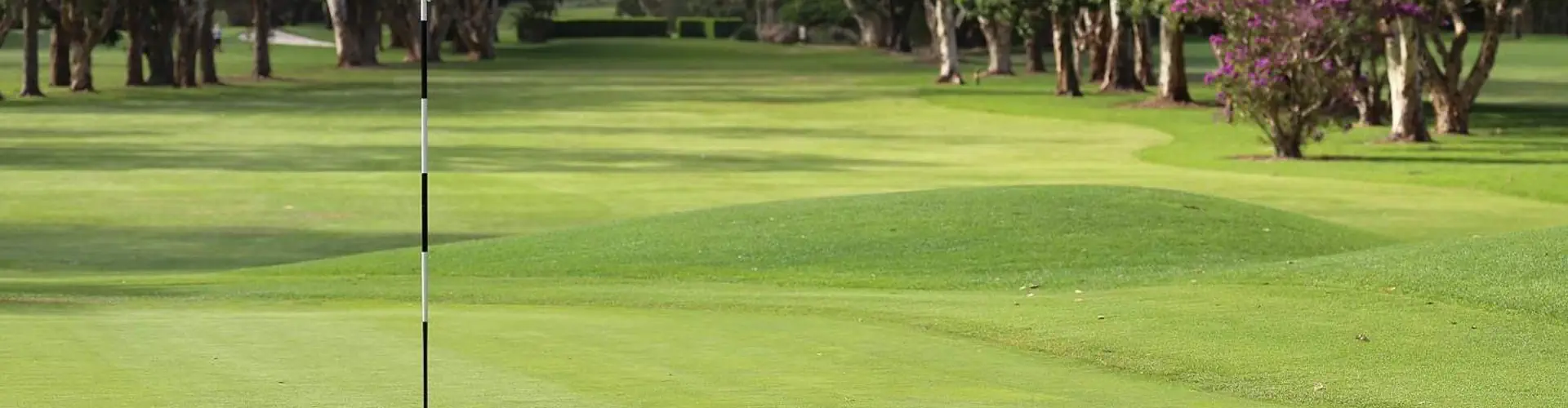 Social Golf Warringah