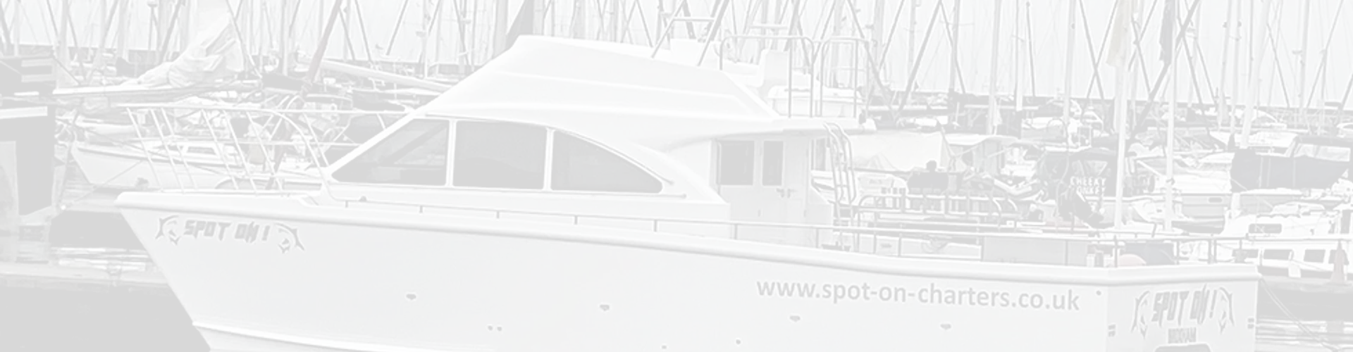 Spot On Charters & mackerel fishing