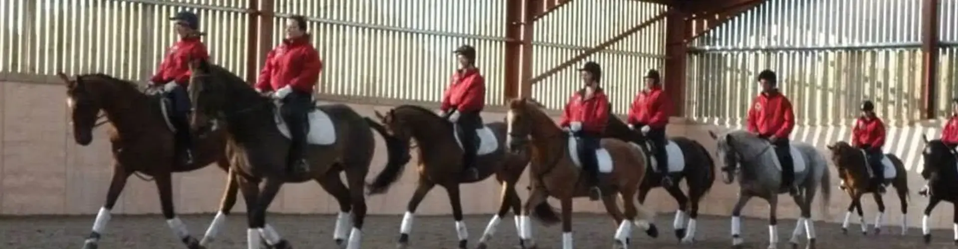 Pony Weeks for Children and Teenagers