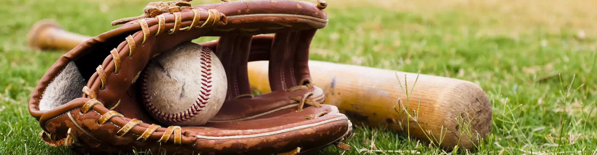 Petersham-Leichhardt Baseball Club