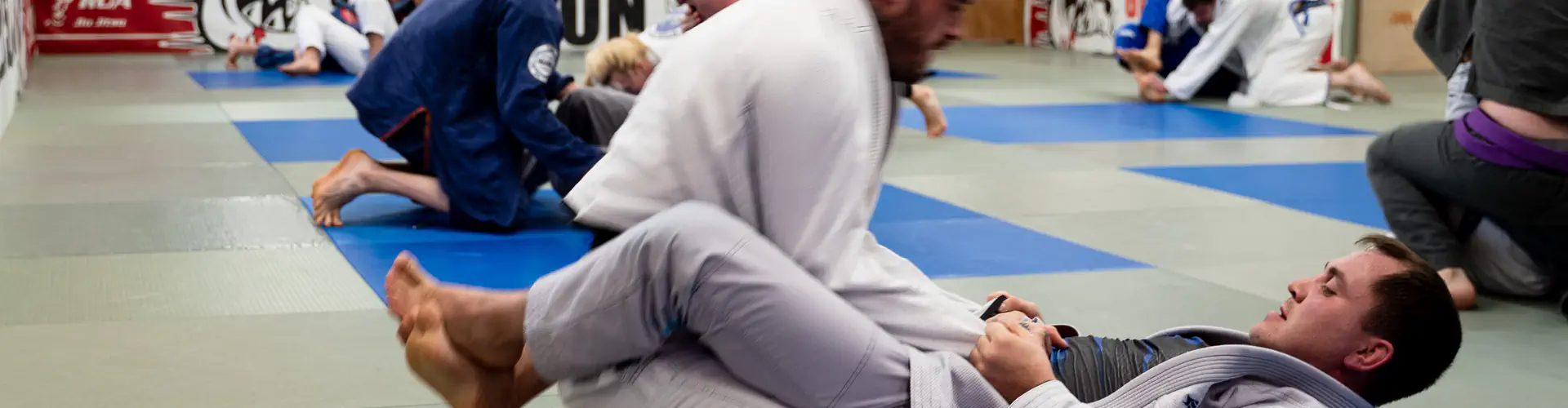 Carlson Gracie Jiu Jitsu Sheen