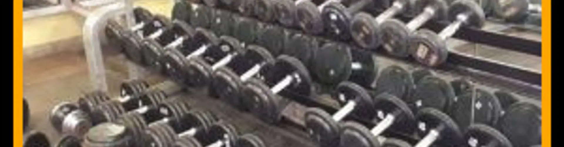 Pulse8 Elite Gym