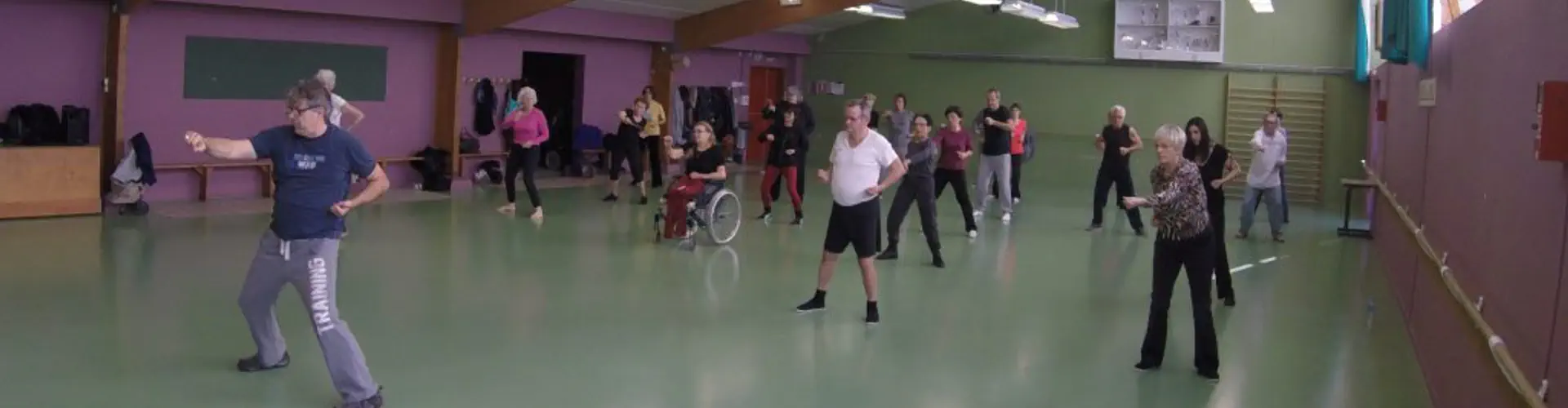 Cours Taiji Qigong & Krav Maga/Self Défense/Celtikan