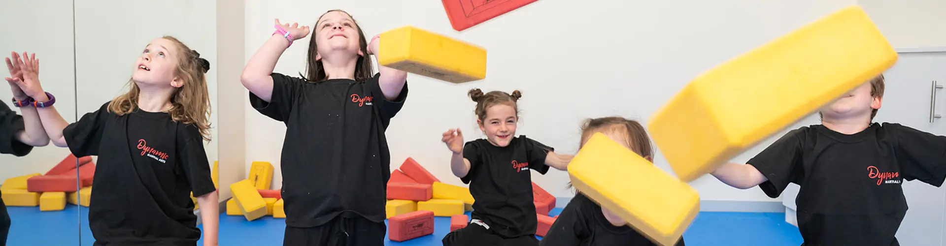 Dynamic Martial Arts & Fitness