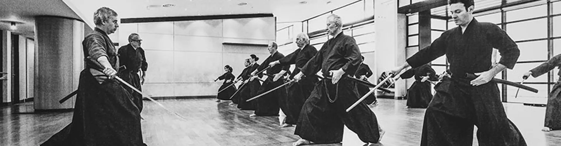 Eishin Dojo