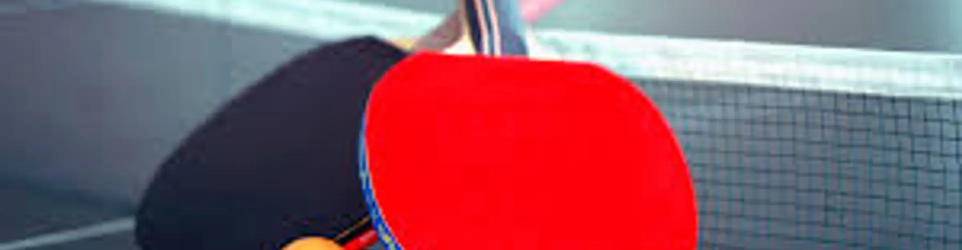 Stage de Tennis de Table