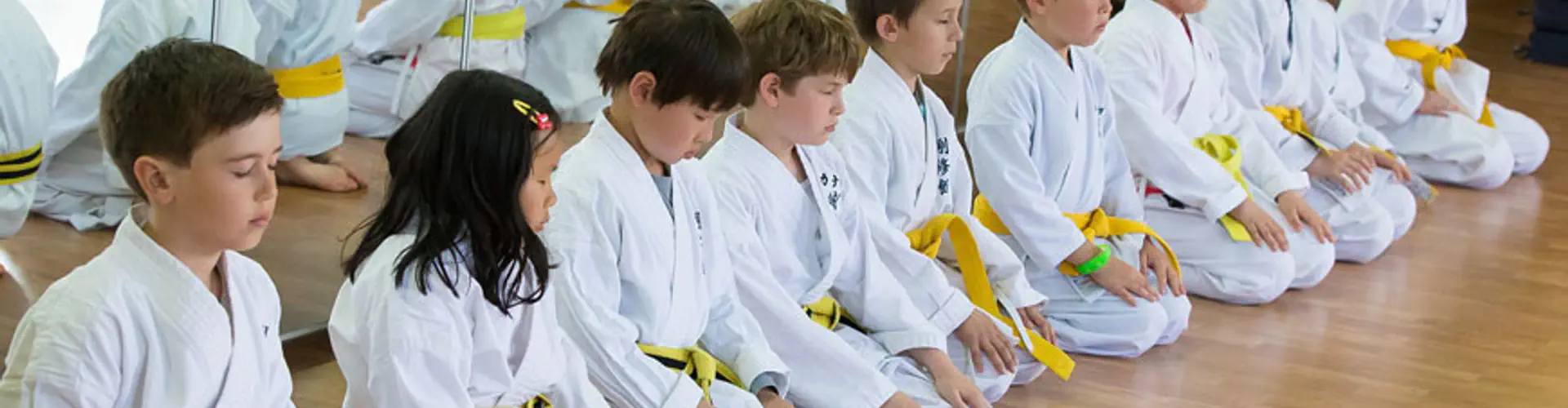 Etobicoke Dojo The