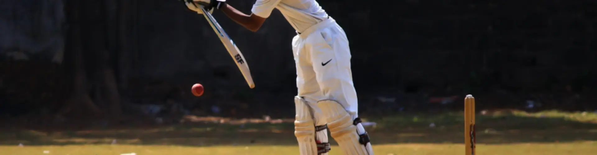 Maharashtriya Mandal's Cricket Next Academy