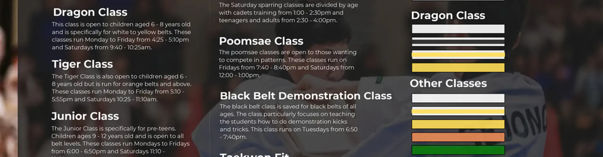 Sejong Taekwondo - Browns Bay