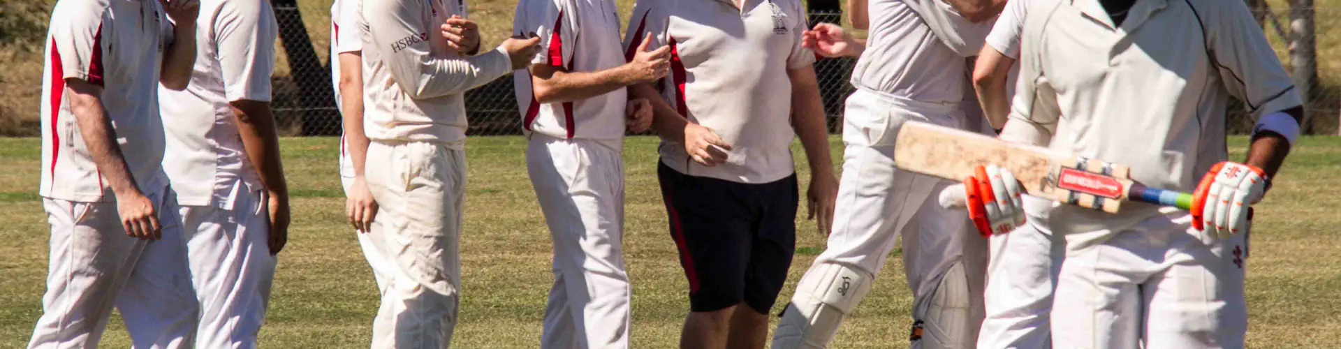 Canberra Social Cricket