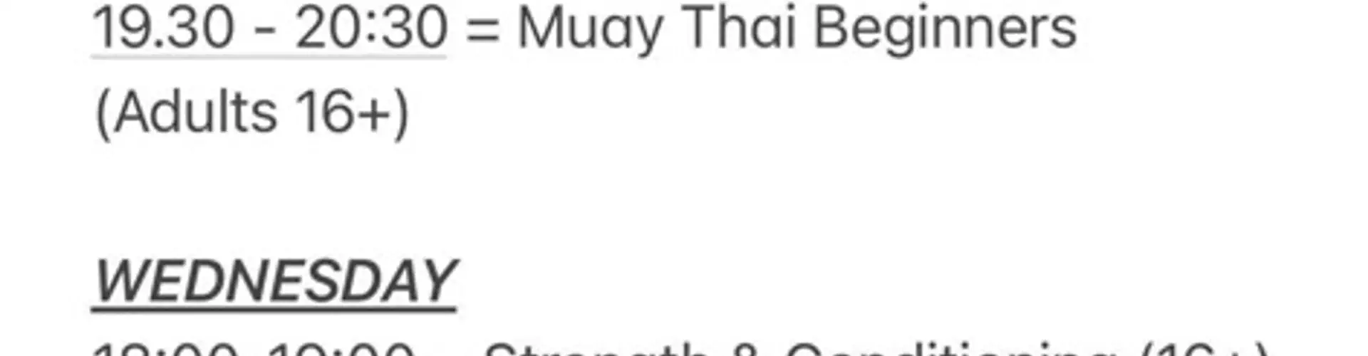 Adrenaline Muay Thai Boxing