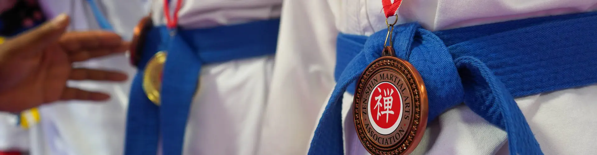 Zen-Shin Martial Arts Academy - Coppice School Four Oaks