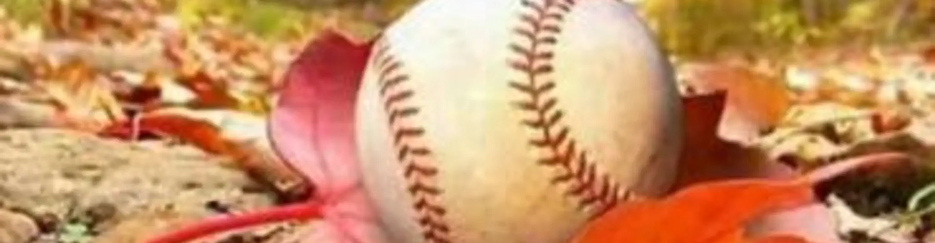 Gordon Head Baseball Association