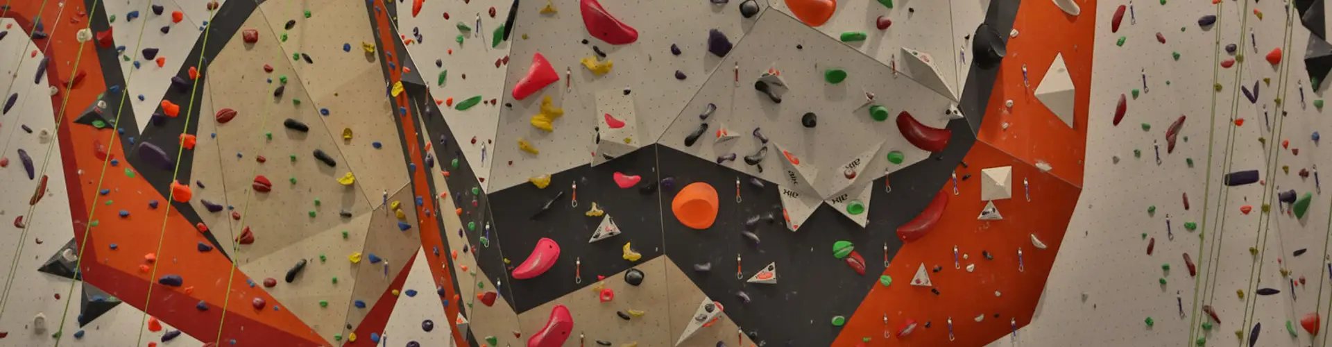 Summer Lead Series 2024