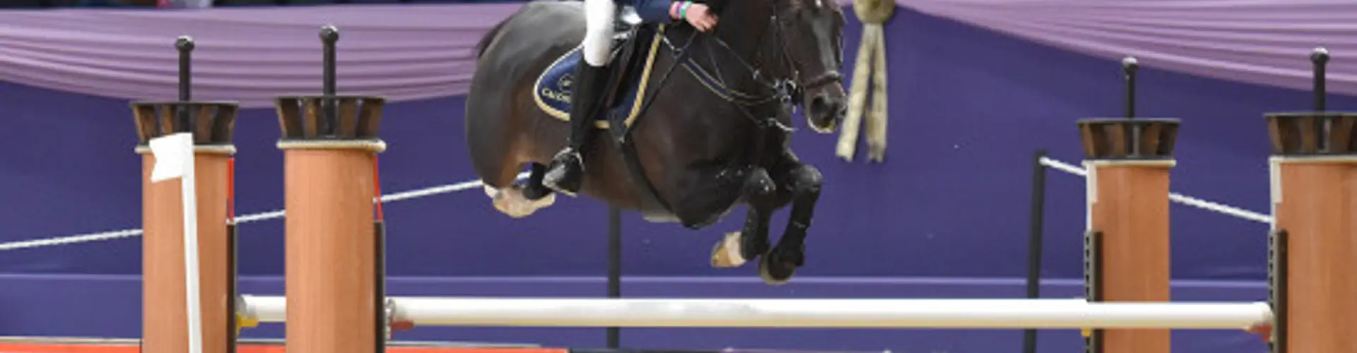 Westpoint Stud & AI centre