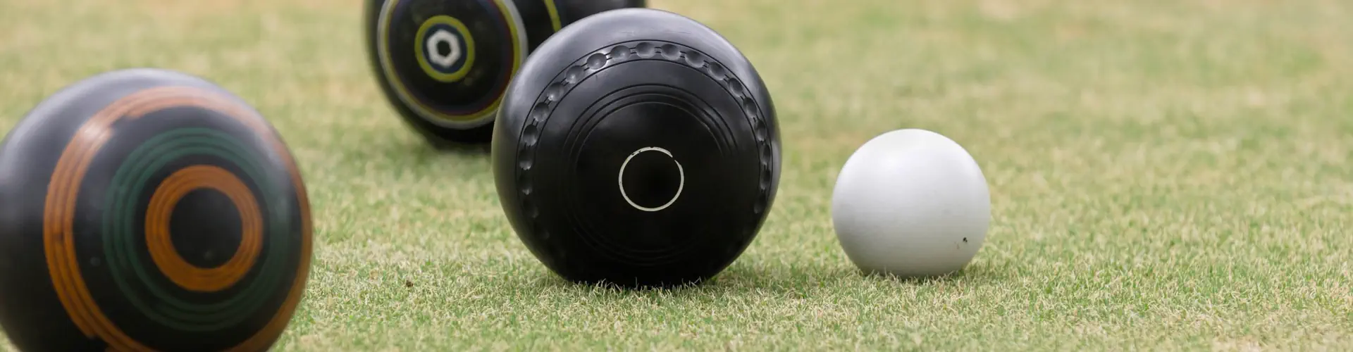 Mount Albert Bowling Club