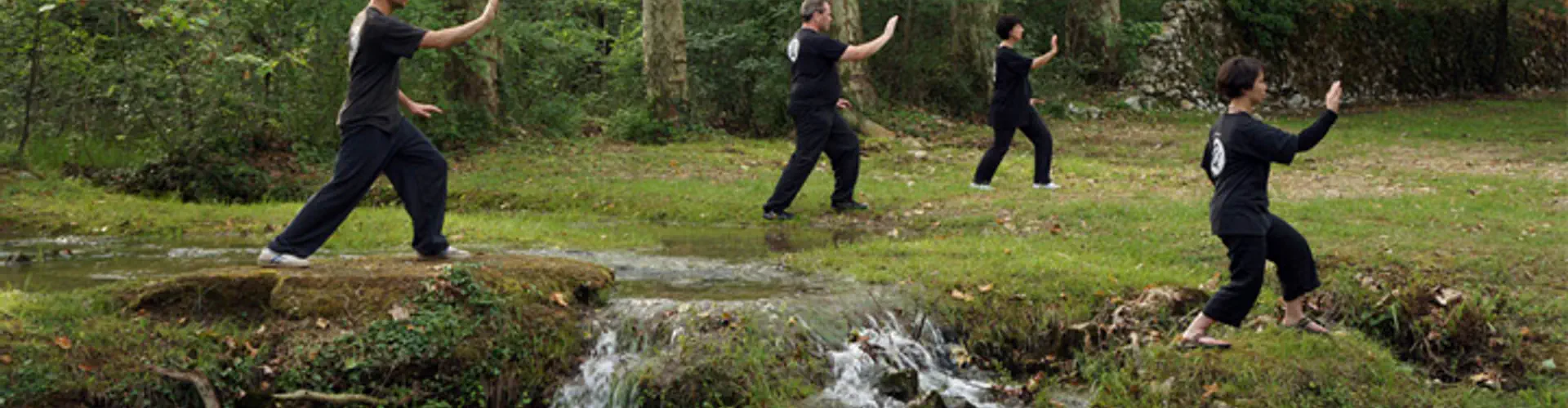 Dragon Martial Arts Association (Brighton & Hove)