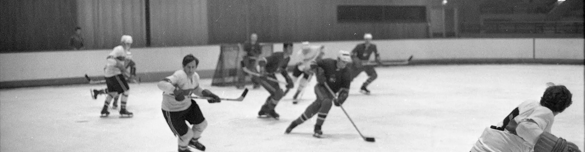 Lyon Hockey Club