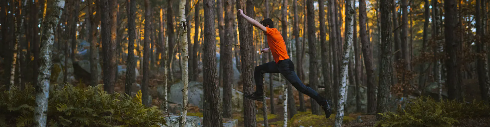 Bleausard's Studio - Yoga & Pilates À Fontainebleau