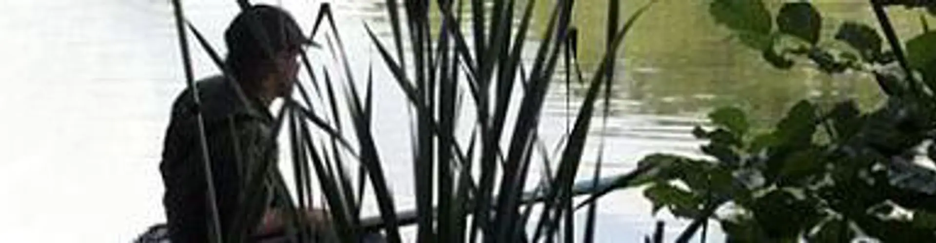 Barford Lakes