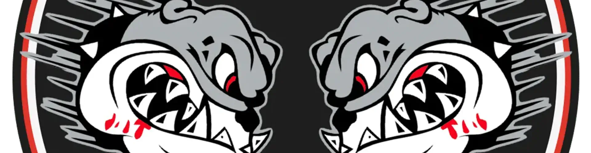 Carlson Gracie Gold Coast