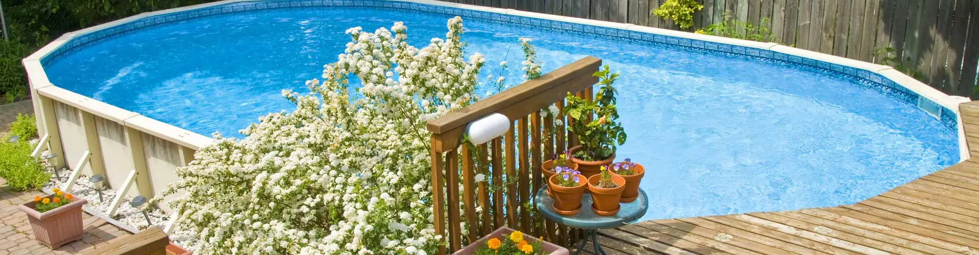 Piscine Paradise Inc