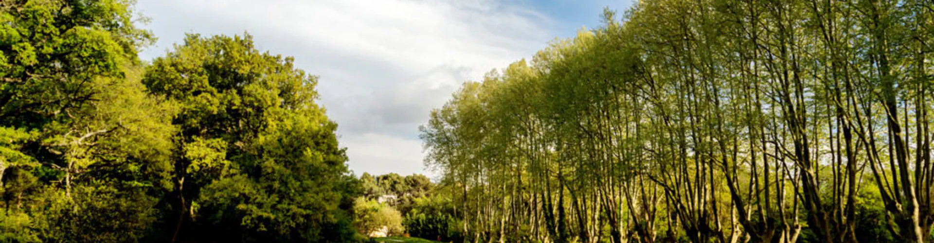 Golf of Pont Royal