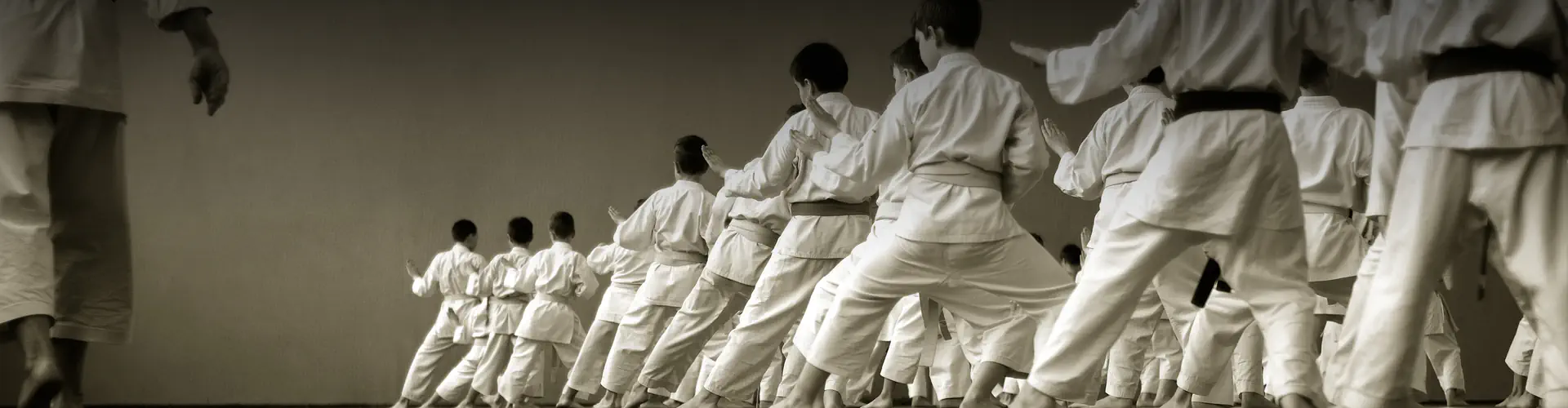 Sydney Karate Club