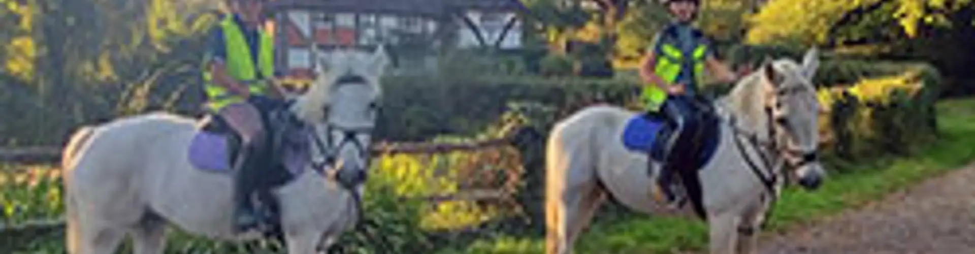West Sussex Livery