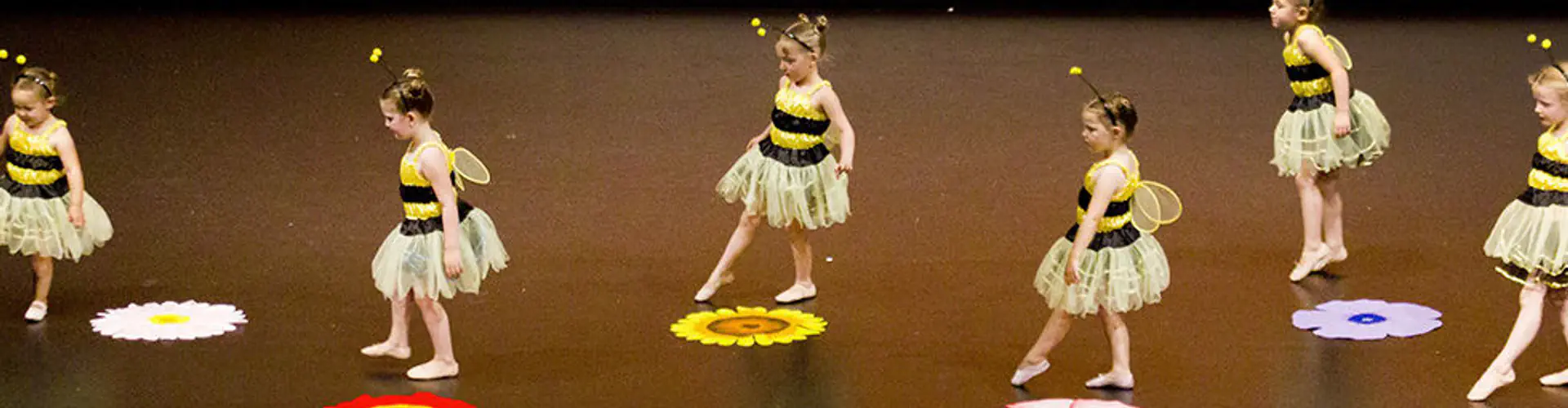 Sara Anderson School Of Dance