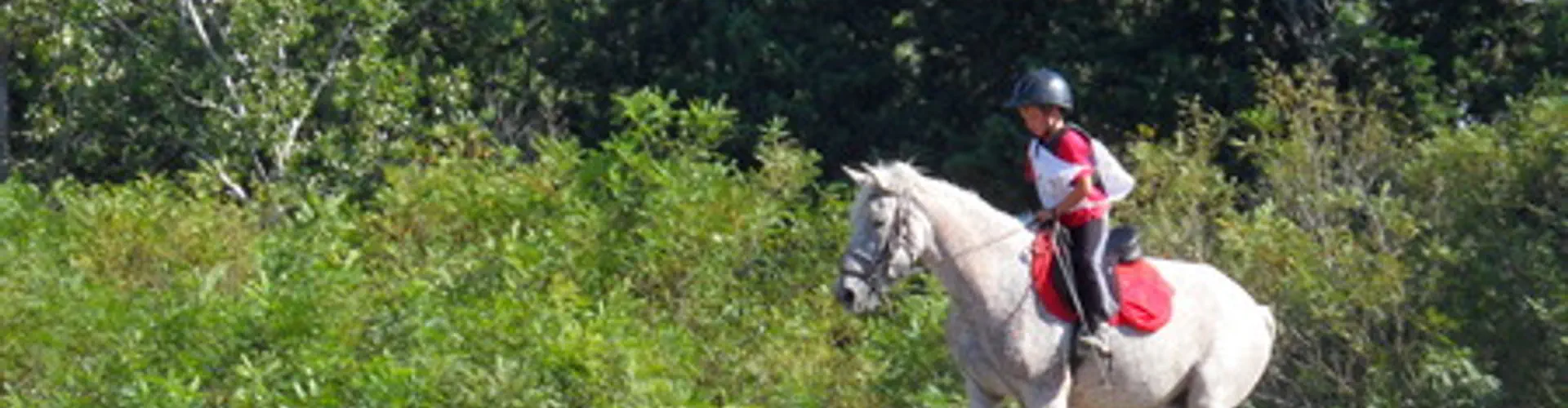 Promenades À Cheval Les Enganes