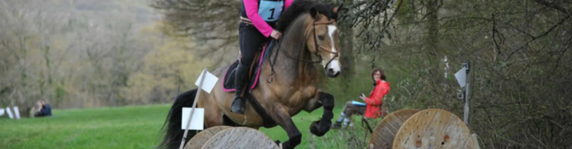 Etrier Bisontin