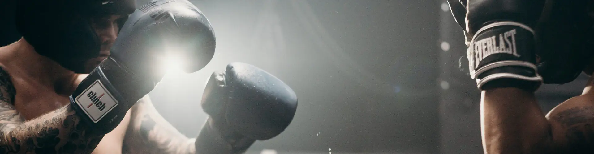 Elevate MMA (Ottawa)