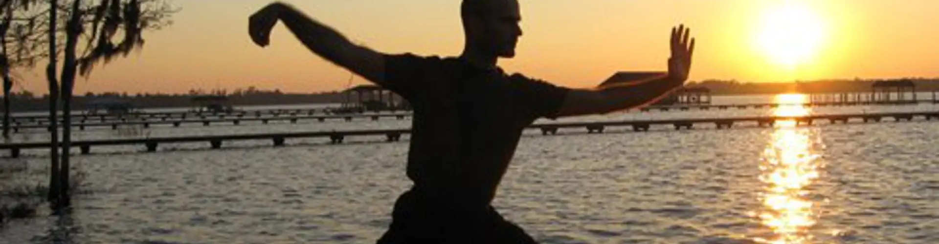 White Crane Tai Chi