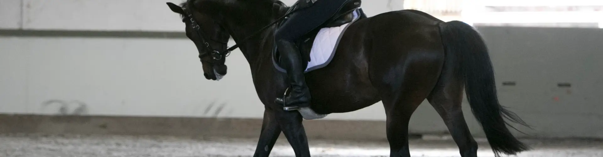 Crescent Stables Ltd