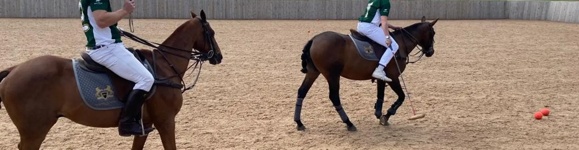 Hertfordshire Polo Academy