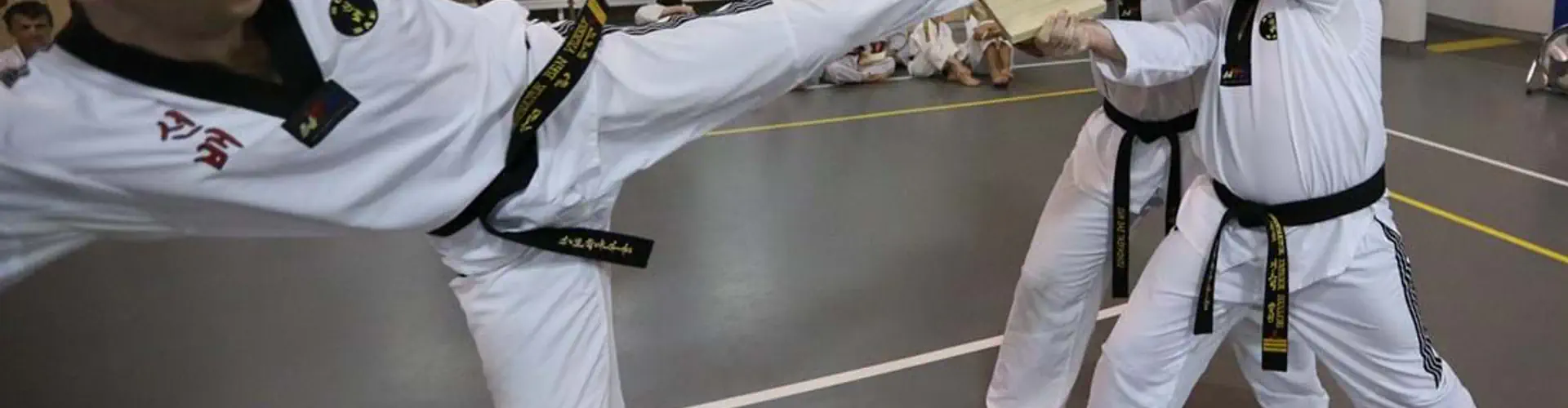 Sun Bae Taekwondo & Hapkido - Mt Gravatt