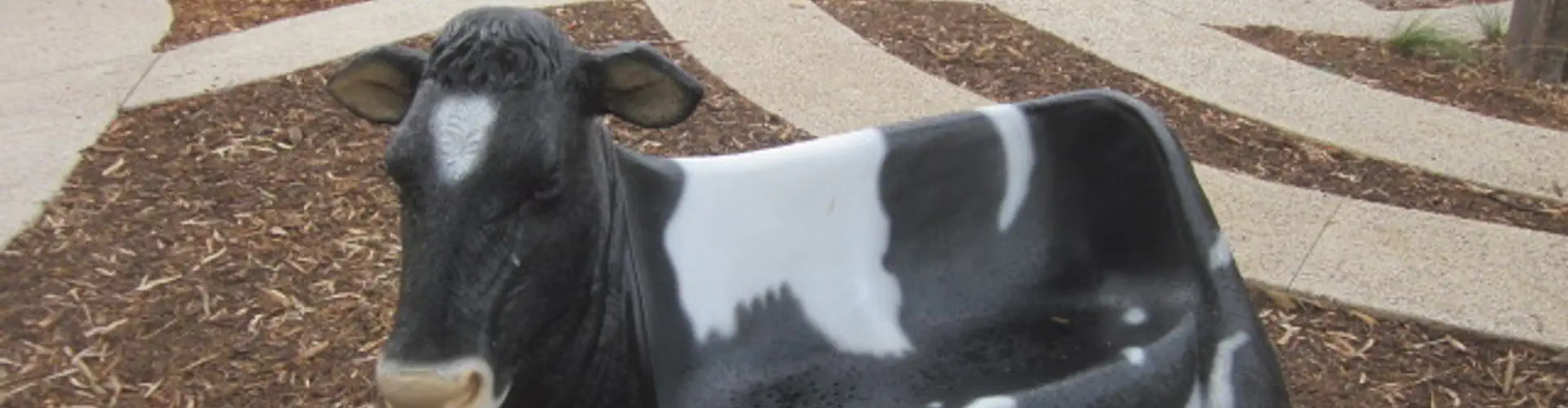 Wellington Reserve Outdoor Gym