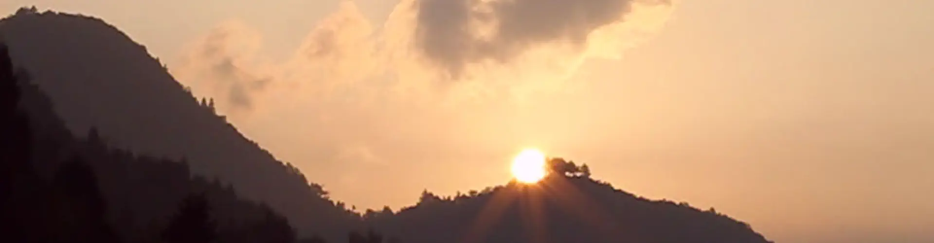 Du Côté De Chez Soi