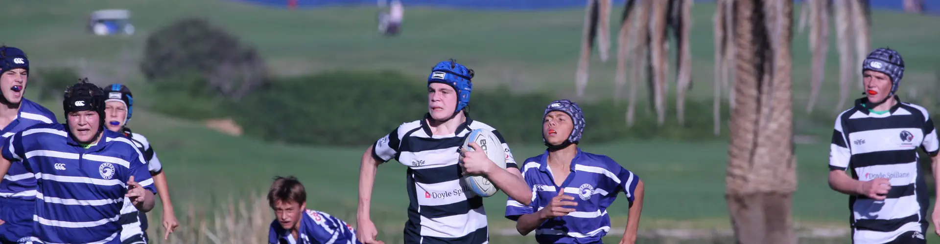 Juniors Collaroy Cougars Junior Rugby