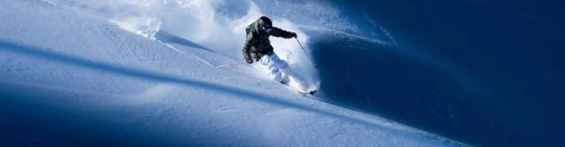 Deux Alpes Loisirs