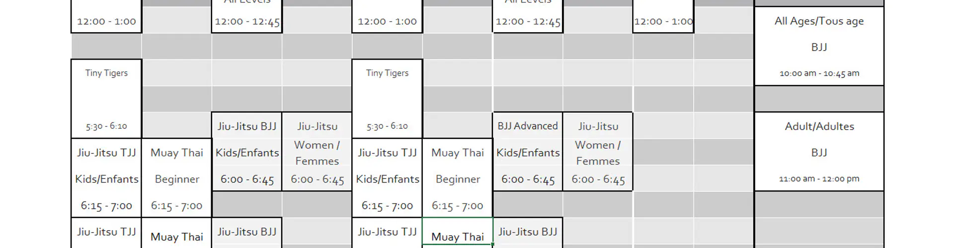 Aylmer Jiu-Jitsu & Muay Thai