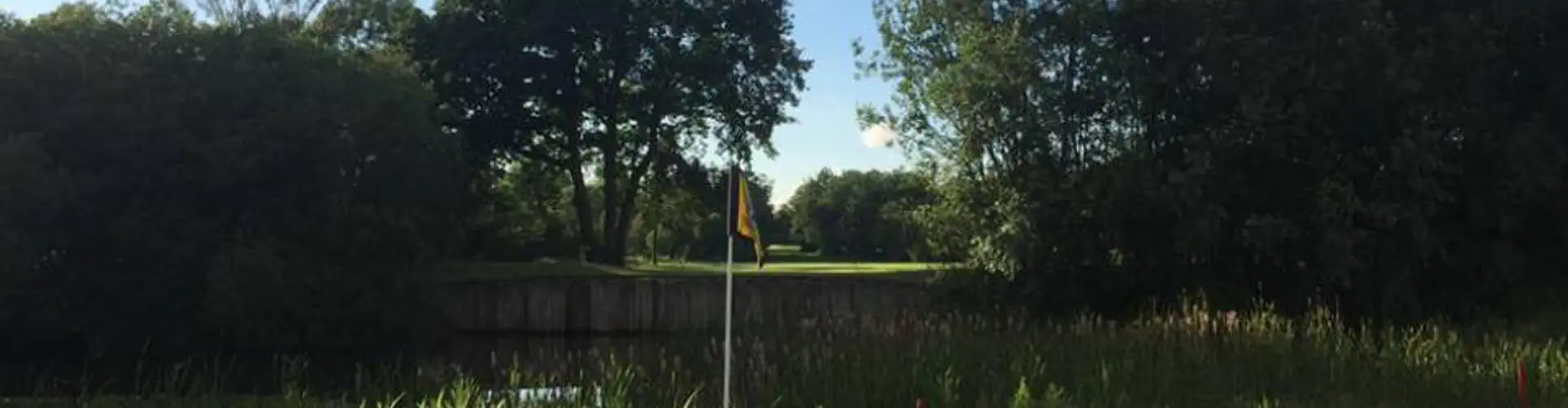David McNicholas Golf LTD