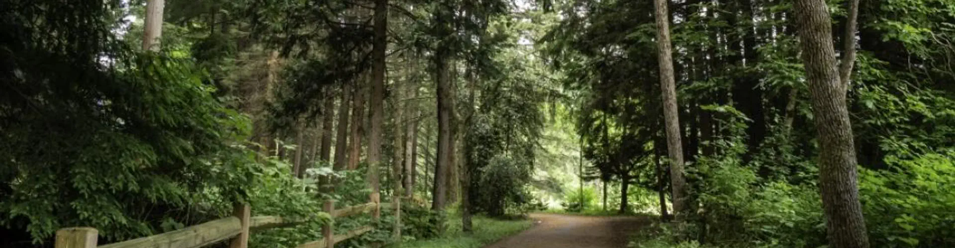 South Surrey Youth Park