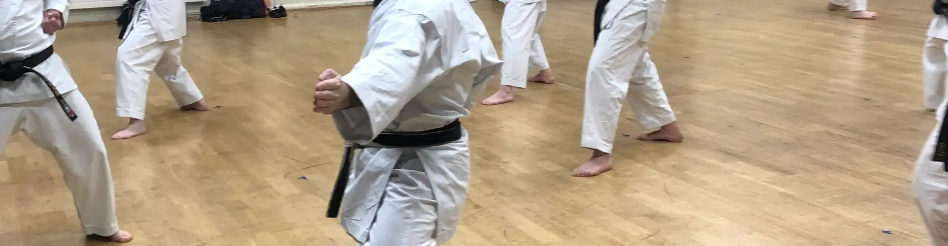 Tamworth Shotokan Karate Club