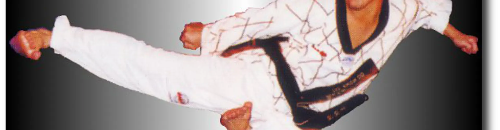 Annecy Taekwondo Martial Sport Ecole Nguon