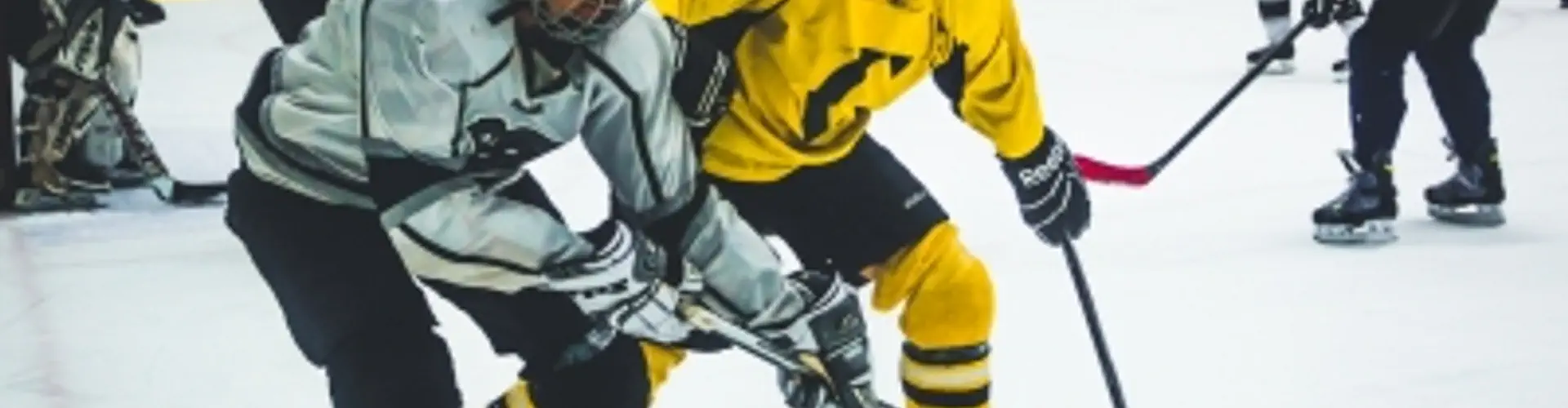 Carleton Ice House