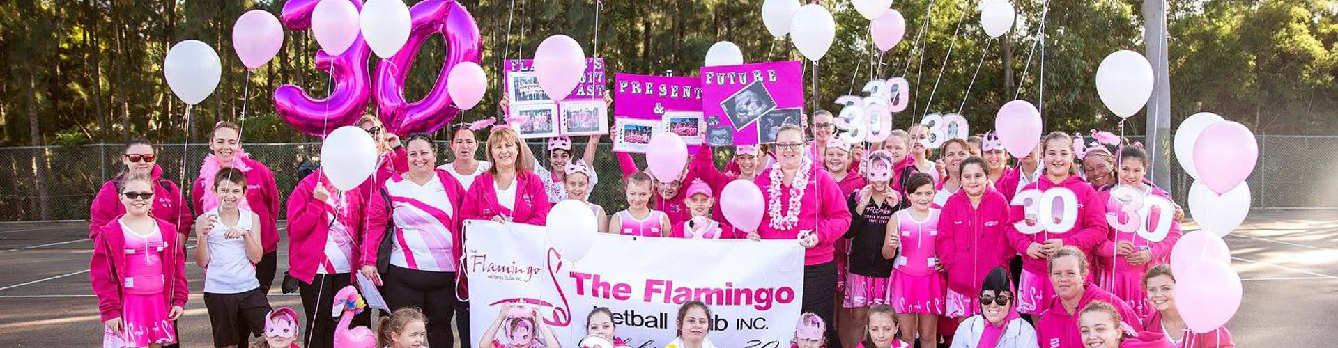 The Flamingo Netball Club