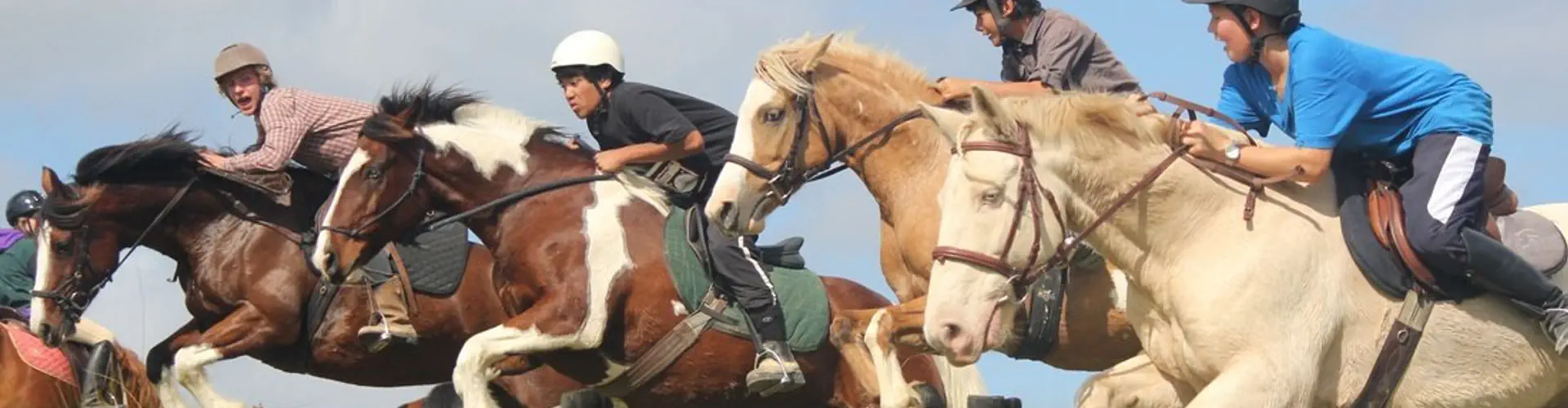 Pony Camps